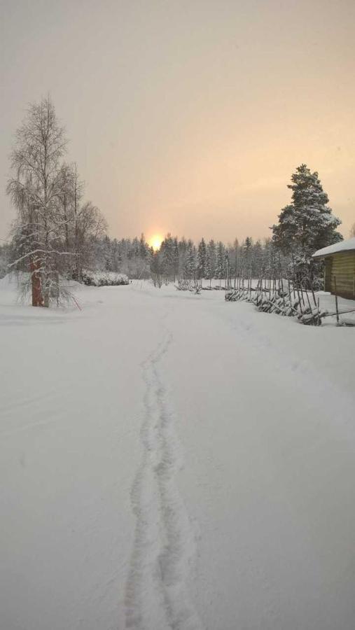 Guest House Haapaniemen Hirsikartano Iisalmi Luaran gambar